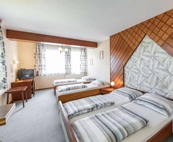 Hotel Austria Traveller Lenzing